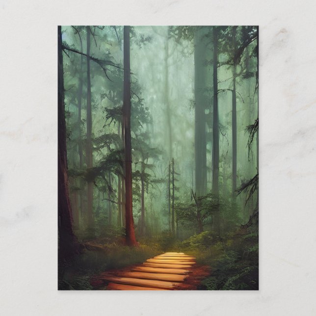 Beautiful Forest Path Digital Art  Postcard (Front)