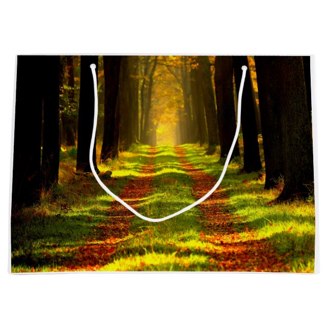 Beautiful Forest Path Road Large Gift Bag (Front)