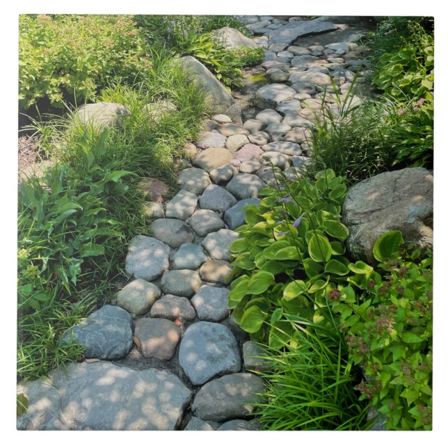 Beautiful forest photo sunlit trees photo template tile (Front)