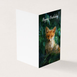 Beautiful Fox Birthday Card