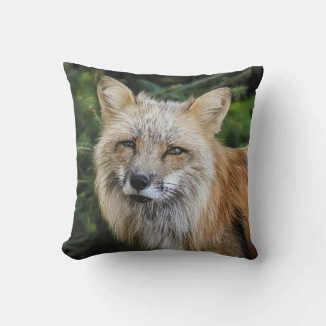 Beautiful Fox in the Wild Cushion (Front)