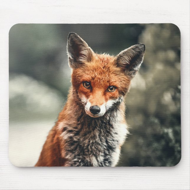 Beautiful Fox in the Wild Mouse Mat (Front)