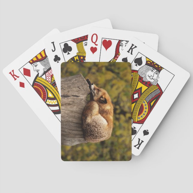 Beautiful Fox Sleeping on a Tree Stump Playing Cards (Back)