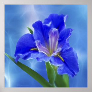 Beautiful fractal iris and its meaning poster