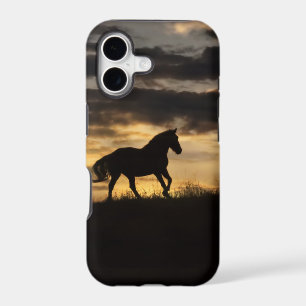 Beautiful Free Horse Sunset Silhouette