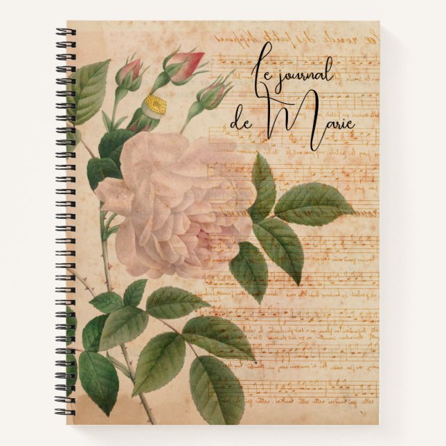 Beautiful French vintage journal (Front)