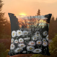 Beautiful, Fresh Daisies Against A Winter's Sunset