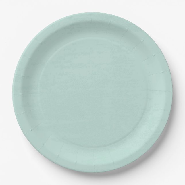 Beautiful fresh mint green disposable paper plate (Front)