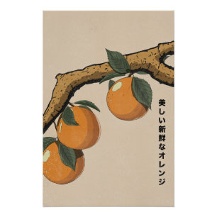 Beautiful Fresh Oranges Poster