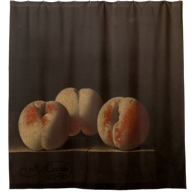 Beautiful Fruits Shower Curtain (Front)