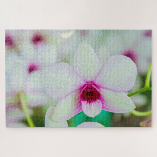 Beautiful fuchsia and white flower jigsaw puzzle