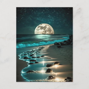 Beautiful Full Moon Beach Ocean Starry Night Postcard