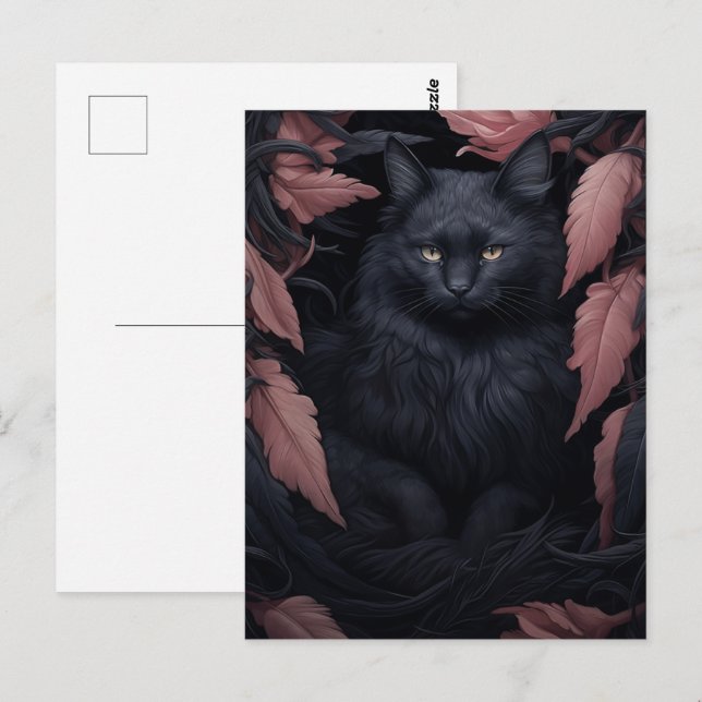 Beautiful Furry Black Cat  Postcard (Front/Back)