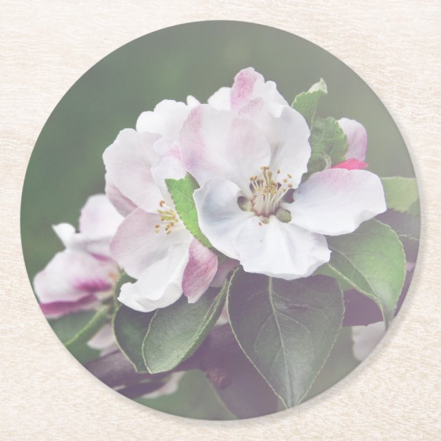 Beautiful Garden Blooms Spring Coasters (Front)