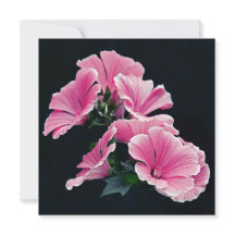 Beautiful Garden Pink Mallow Roses Flowers
