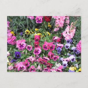 Beautiful Garden Postcard