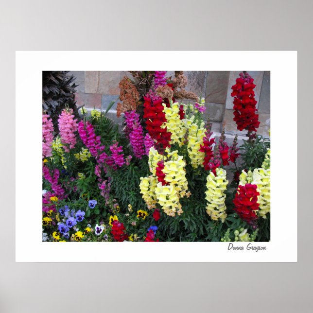 Beautiful Garden Poster Print (Front)