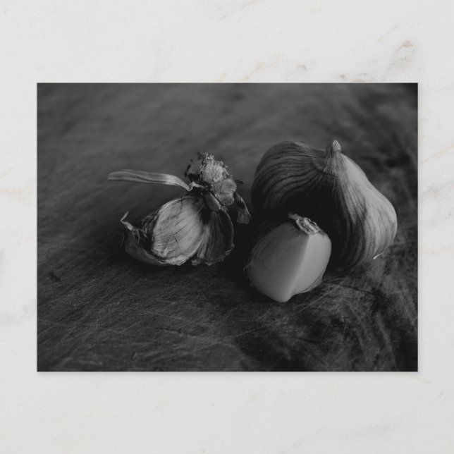 Beautiful Garlic Still Life Fine Art Photograph Postcard (Front)