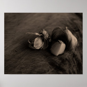 Beautiful Garlic Still Life Fine Art Photograph Poster