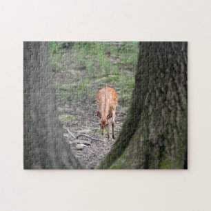 Beautiful Gazelle in Forest Jigsaw Puzzle