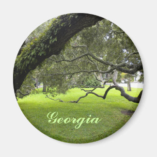 Beautiful Georgia Oak and Green Lawn Magnet