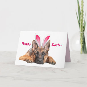 Beautiful German Shepherd Bunny Ears Happy Easter  Card