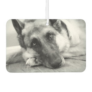 Beautiful German Shepherd Car Air Freshener