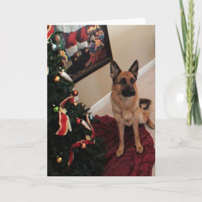 Beautiful German Shepherd Christmas Holiday Card (Front)