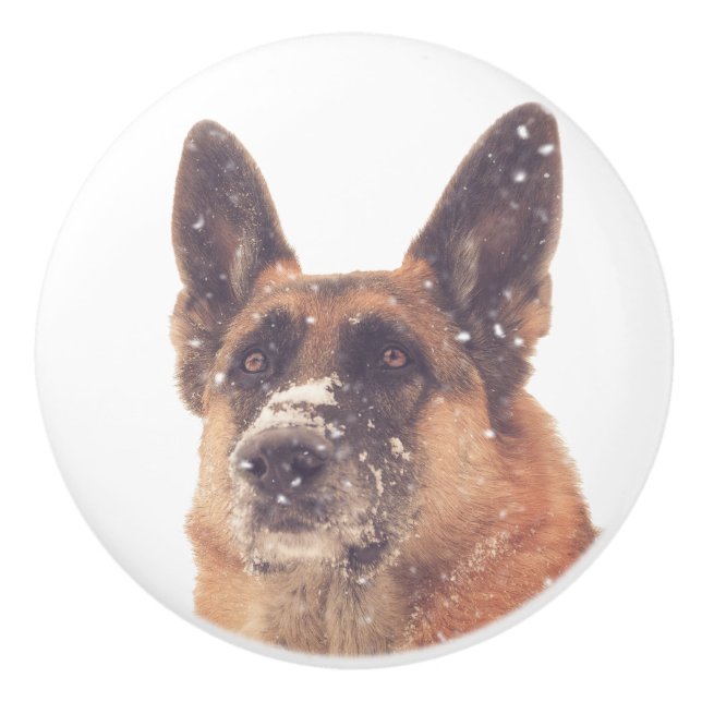 Beautiful German Shepherd Dog Photo Drawer Pulls (Front)