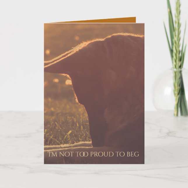 Beautiful German Shepherd Valentine's Day Card (Front)