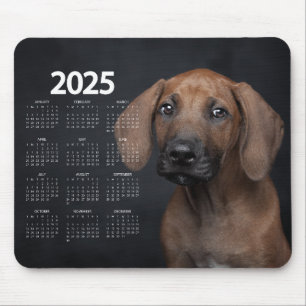 Beautiful German Shorthaired Pointer 2025 Calendar Mouse Mat
