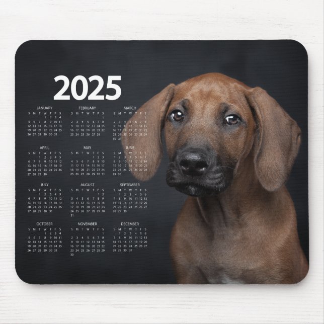 Beautiful German Shorthaired Pointer 2025 Calendar Mouse Mat (Front)