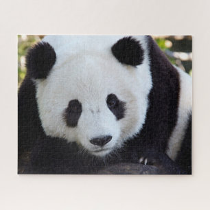 Beautiful Giant Panda, Jigsaw Puzzle