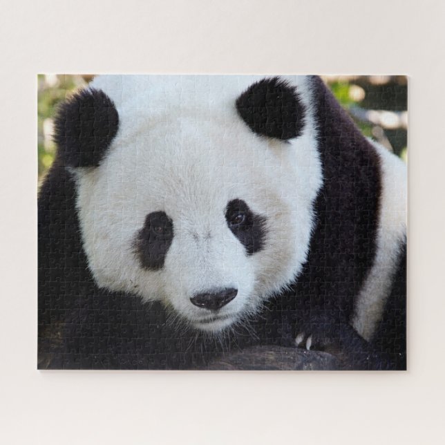 Beautiful Giant Panda, Jigsaw Puzzle (Horizontal)