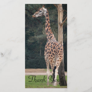 Beautiful Giraffe Thank You Card