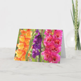 Beautiful Gladiolus Blooms Card