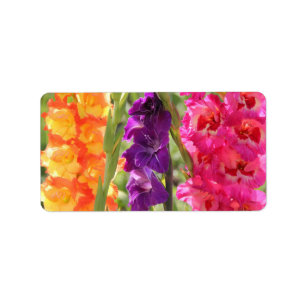 Beautiful Gladiolus Blooms Label