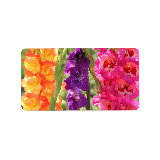 Beautiful Gladiolus Blooms Label (Front)