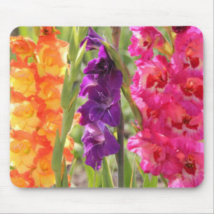 Beautiful Gladiolus Blooms Mouse Mat