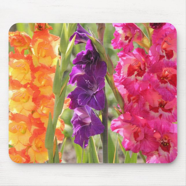 Beautiful Gladiolus Blooms Mouse Mat (Front)
