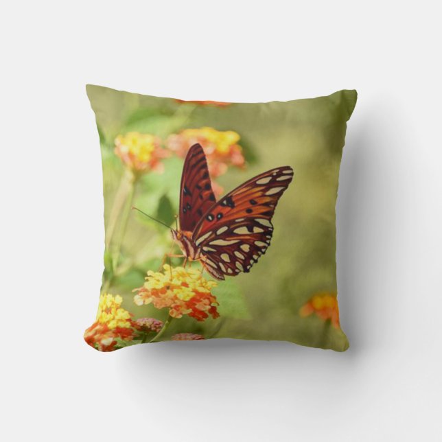 Beautiful Glasswing Butterfly Cushion (Front)