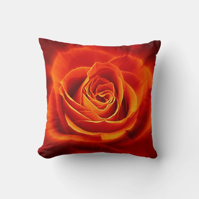 Beautiful Glowing Red Orange Rose Cushion (Front)