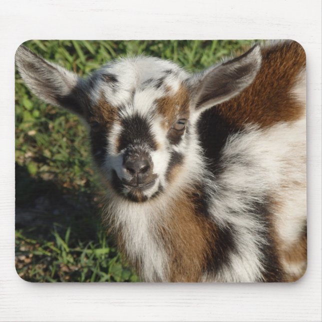 Beautiful Goat Kid Mouse Pad (Front)