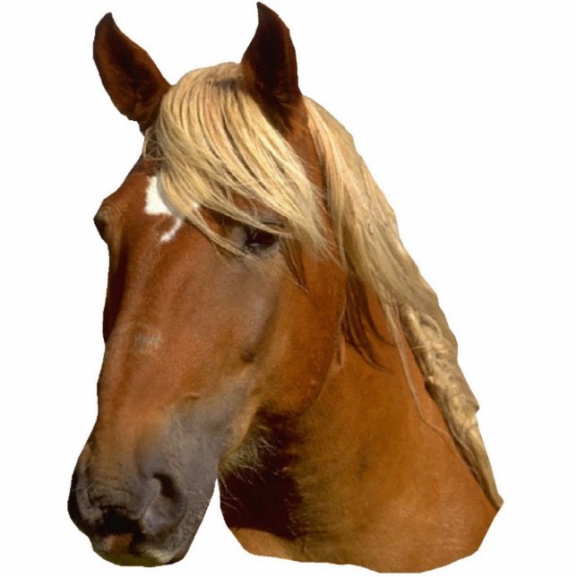 Beautiful gold mained horse sculpture standing photo sculpture (Front)