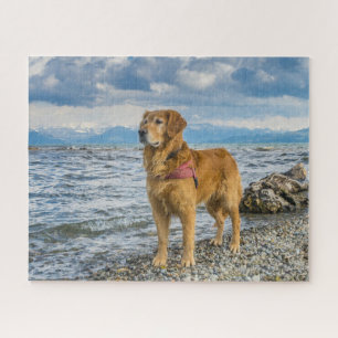 Beautiful Golden Retriever Dog Photo Jigsaw Puzzle