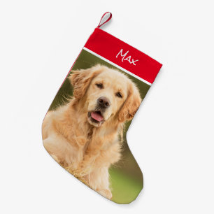 Beautiful Golden Retriever Stocking