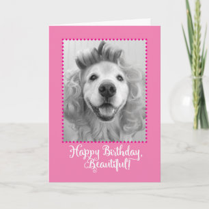 Beautiful Golden Retriever With Curlers Birthday Card