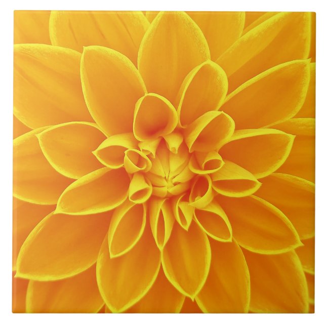 beautiful golden yellow dahlia flower colourful tile (Front)
