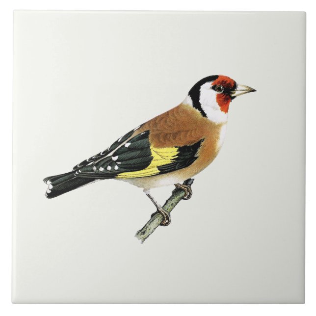 Beautiful Goldfinch Song Bird Tile (Front)