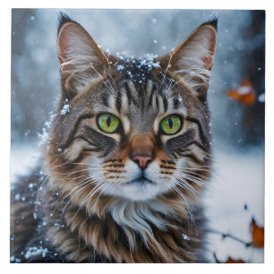 Beautiful Gray Tabby Cat in Snow Tile